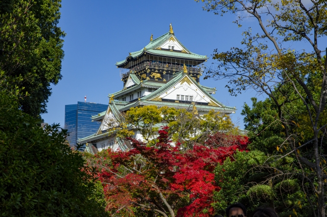 大阪市のフリースクール人気10選!不登校の小学生・中学生が安心して通えるおすすめの場所とは?