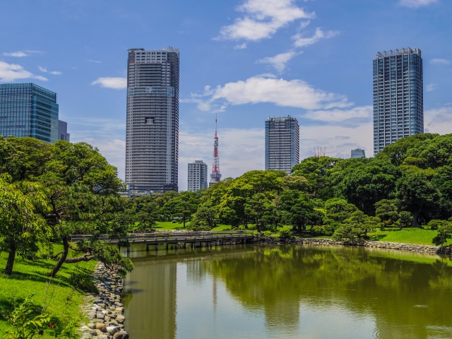 東京都中央区のフリースクール特集!不登校の小中学生が安心して通える場所